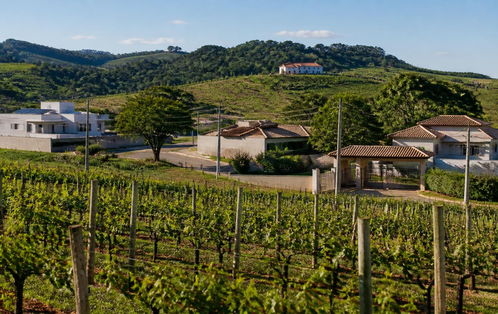 Área residencial próxima a parreirais em Jundiaí, região conhecida como Terra da Uva